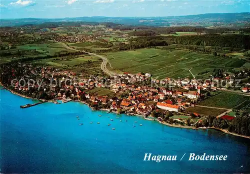 AK / Ansichtskarte  Hagnau_Bodensee Weinort und Ferienort Hagnau Bodensee