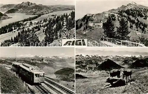 AK / Ansichtskarte Rigi_Kulm Berghotel Panorama Rigi Bahn Almvieh Alpenpanorama Rigi_Kulm