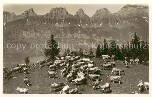 AK / Ansichtskarte Flums__SG Auf der Alp Fliegeraufnahme 