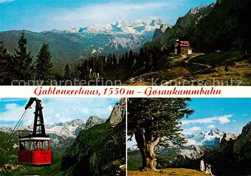 AK / Ansichtskarte 73795981 Gablonzerhaus_3004m_Dachstein_AT Panorama Gosaukammbahn Blick von der Zwieselalm 
