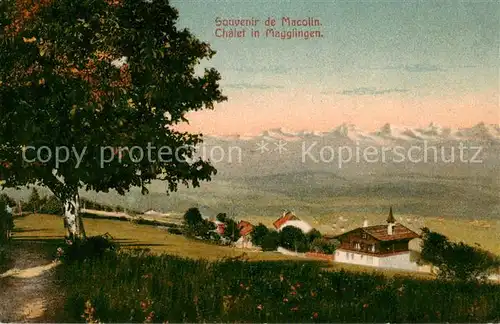 AK / Ansichtskarte Macolin_sur_Bienne_BE Chalet et les Alpes Gefangenenpost 