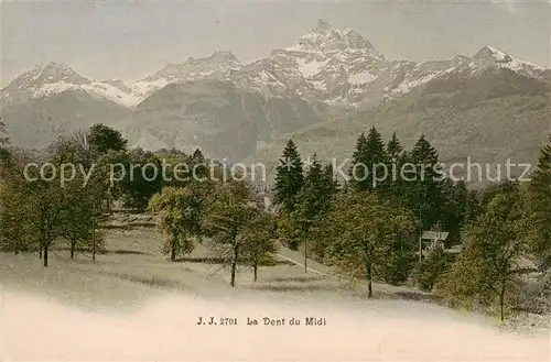 AK / Ansichtskarte Lausanne_VD La Dent du Midi Alpes Lausanne VD
