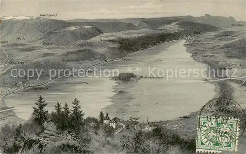 AK / Ansichtskarte Erlach_BE Panorama Blick ueber den Bieler See Kuenstlerkarte Erlach_BE