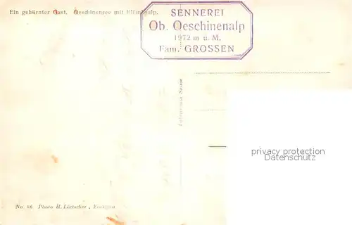 AK / Ansichtskarte Oeschinensee_oeschinensee_1578m_BE mit Bluemlisalp Berner Alpen Ein gehoernter Gast Ziege 