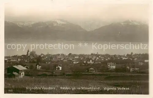 AK / Ansichtskarte Vevey_VD Vignoble Vaudois Rebberge im Waadtland Genfer See Alpen Vevey_VD