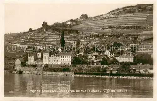 AK / Ansichtskarte Vevey_VD Vignoble Vaudois Rebberge im Waadtland Genfersee Vevey_VD