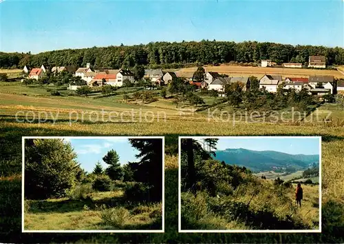 AK / Ansichtskarte  Neuludwigsdorf Panorama Landschaftsbilder Neuludwigsdorf