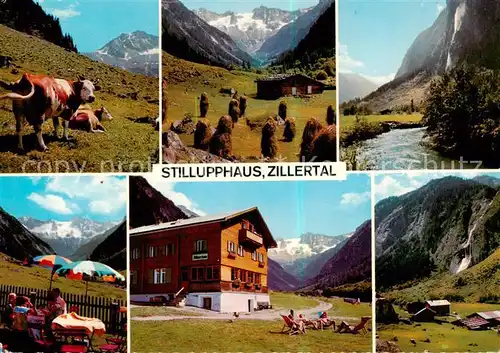 AK / Ansichtskarte  Stilluphaus_1200m_Stilluptal_Mayrhofen_Zillertal_AT Landschaftsbilder Sonnenterrasse Kasseler und Keilbachspitze Zaunfall 