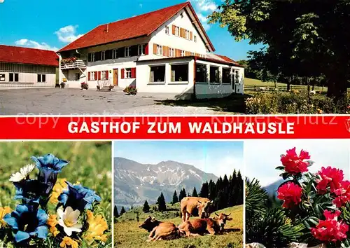 AK / Ansichtskarte  Memhoelz_Kempten_Allgaeu Gasthof Zum Waldhaeusle  Memhoelz_Kempten_Allgaeu