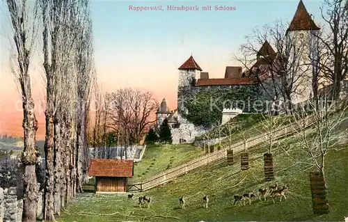 AK / Ansichtskarte Rapperswil_ Jona_Rapperswyl_Zuerichsee_SG Hirschpark mit Schloss 
