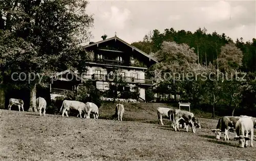 AK / Ansichtskarte 73796913 St_Quirin Unterbuchberg Ferienheim Tagescafé Kuehe Viehweide St_Quirin