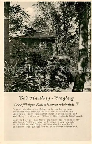 AK / Ansichtskarte 73797004 Bad_Harzburg Burgberg 1000jaehriger Kaiserbrunnen Heinrisch IV Gedicht Bad_Harzburg