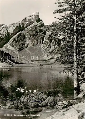 AK / Ansichtskarte Seealpsee_Saentis_IR Bergsee mit Rossmad Appenzeller Alpen 