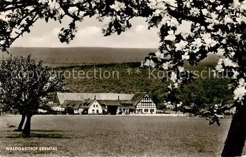 AK / Ansichtskarte  Ruedesheim_am_Rhein Waldgasthof Landgut Ebental 