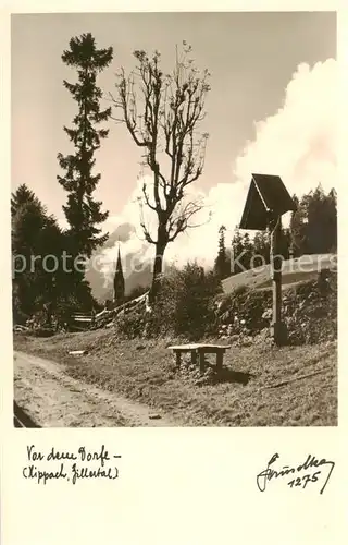 AK / Ansichtskarte  Hippach_Tirol_AT Partie vor dem Dorf mit Wegekreuz 