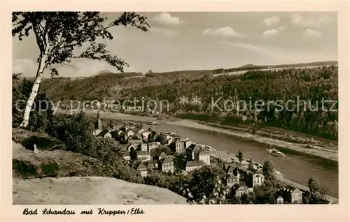 AK / Ansichtskarte  Bad_Schandau Elbepartie mit Krippen Bad_Schandau