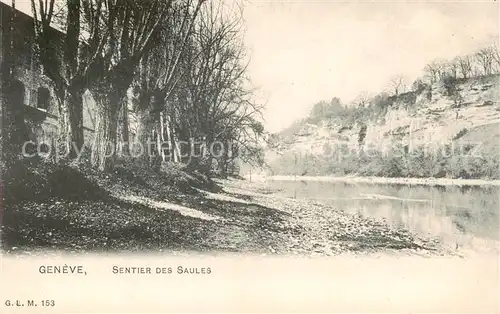 AK / Ansichtskarte Geneve_GE Sentier des Saules Geneve_GE
