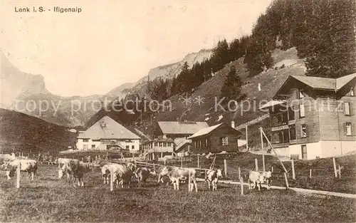 AK / Ansichtskarte Lenk_Simmental Ifigenalp Viehweide Kuehe Lenk Simmental