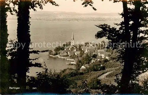 AK / Ansichtskarte Berlingen_Untersee Panorama Berlingen Untersee