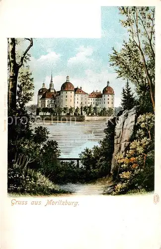 AK / Ansichtskarte  Moritzburg_Sachsen Die Moritzburg Moritzburg Sachsen