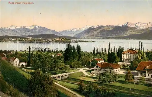 AK / Ansichtskarte  Feldbach-Rapperswil_-Jona_Rapperswyl_Zuerichsee_SG Panorama Zuerichsee Alpen 