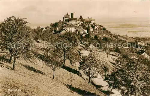 AK / Ansichtskarte  Regensberg_Dielsdorf_ZH Burg 