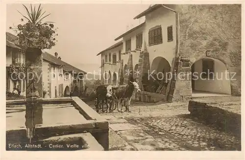 AK / Ansichtskarte 13798499 Erlach_BE Altstadt Brunnen Ochsenkarren Erlach_BE