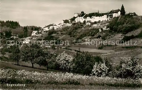 AK / Ansichtskarte  Regensberg_Dielsdorf_ZH Panorama 