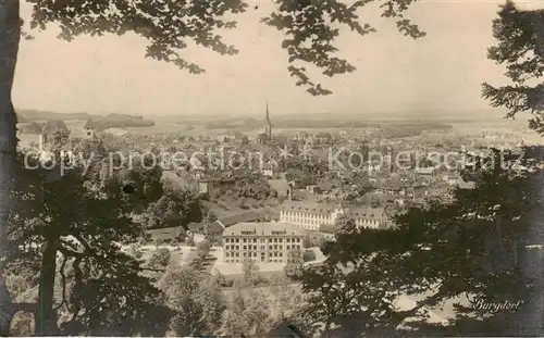AK / Ansichtskarte Burgdorf_BE Panorama 