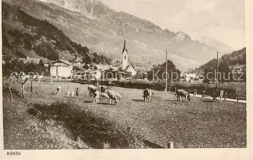 AK / Ansichtskarte Kueblis_GR Blick ueber die Viehweide zum Dorf 