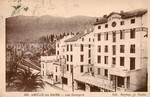 AK / Ansichtskarte Amelie les Bains Palalda_66 Les Orangers 