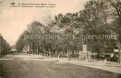 AK / Ansichtskarte La_Roche Posay Avenue de Chatellerault Monument aux Morts La_Roche Posay