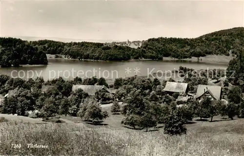 AK / Ansichtskarte Tuerlersee_Aeugst_Albis_ZH Panorama 
