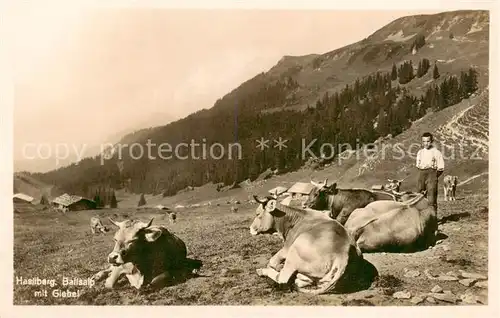 AK / Ansichtskarte Hasliberg_Meiringen_BE Balisalp mit Giebel Berner Alpen 