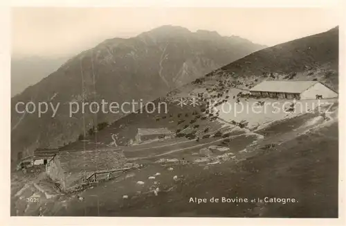 AK / Ansichtskarte Catogne_Le Alpe de Bovine Catogne_Le