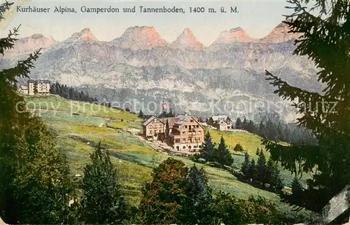 AK / Ansichtskarte Flums__SG Kurhaeuser Alpina Gamperdon und Tannenboden 