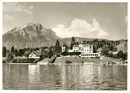 AK / Ansichtskarte Luzern__LU Hotel Kastanienbaum Ansicht vom See aus 