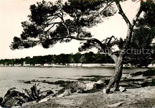 AK / Ansichtskarte Boulouris_Frejus_83_Var Bords de Mer 