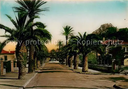 AK / Ansichtskarte Hyeres les Palmiers_83_Var Fontaine Godillot et le Fenouille 