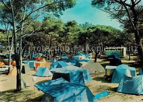 AK / Ansichtskarte Hyeres les Palmiers_83_Var Le Camping de la Capte 