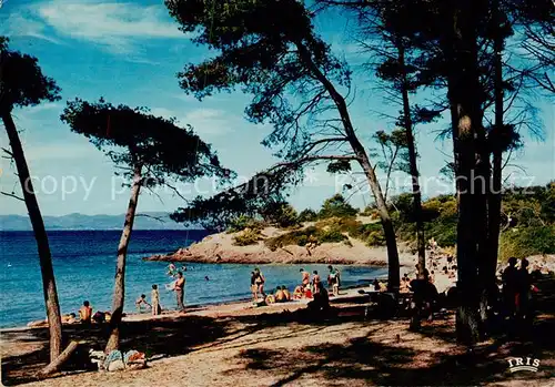 AK / Ansichtskarte Ile_de_Port Cros_83_Var La Plage du Sud 