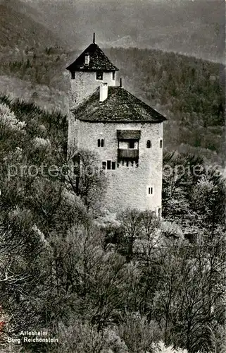 AK / Ansichtskarte Arlesheim_BL Burg Reichenstein 