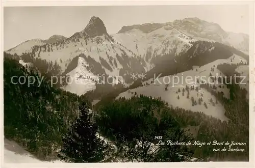 AK / Ansichtskarte Sonloup_VD Vue sur les Rochers de Naye et Dent de Jaman en hiver 
