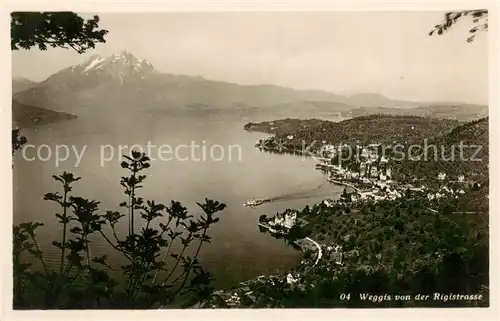 AK / Ansichtskarte Weggis_Vierwaldstaettersee Panorama Weggis_Vierwaldstaettersee