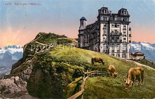 AK / Ansichtskarte Rigi_Kulm Berghotel Almvieh Kuehe Fernsicht Alpenpanorama Rigi_Kulm