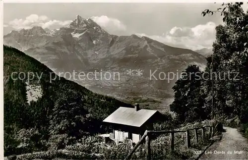 AK / Ansichtskarte Les_Dents_du_Midi_VS Berghuette Alpenpanorama 