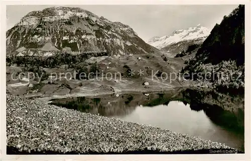 AK / Ansichtskarte Seelisberg_UR Bergwelt Alpenpanorama Seelisberg UR