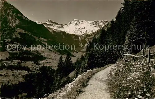 AK / Ansichtskarte Adelboden_BE Hoernliweg Wanderweg Blick gegen Tierhoernli Steghorn Wildstrubel Alpen 