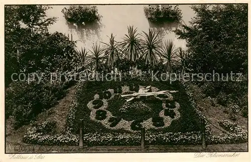 AK / Ansichtskarte  Zittau Blumenuhr an der Stadtgaertnerei Zittau