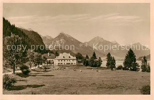 AK / Ansichtskarte  Weisshaus_Tirol Gasthaus Weisshaus Panorama Weisshaus Tirol